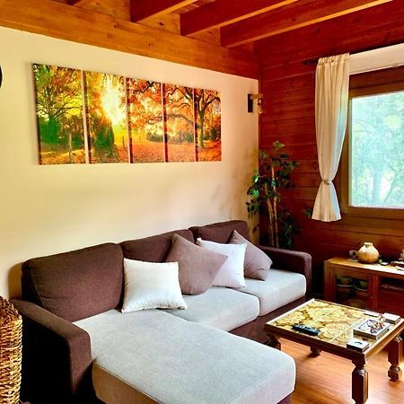 Апартаменты Apartamento Siscaro Vila Экстерьер фото